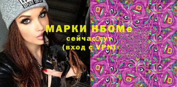 молекула духа Новодвинск