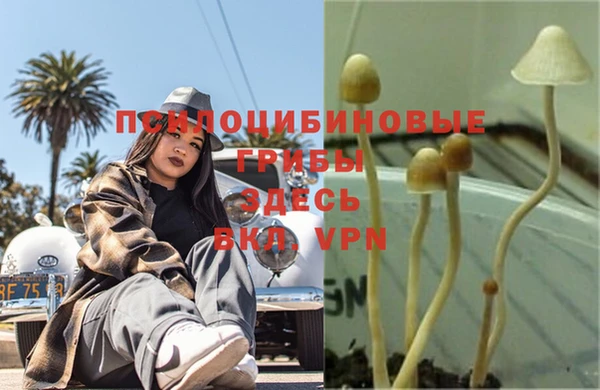 мдма Новокубанск